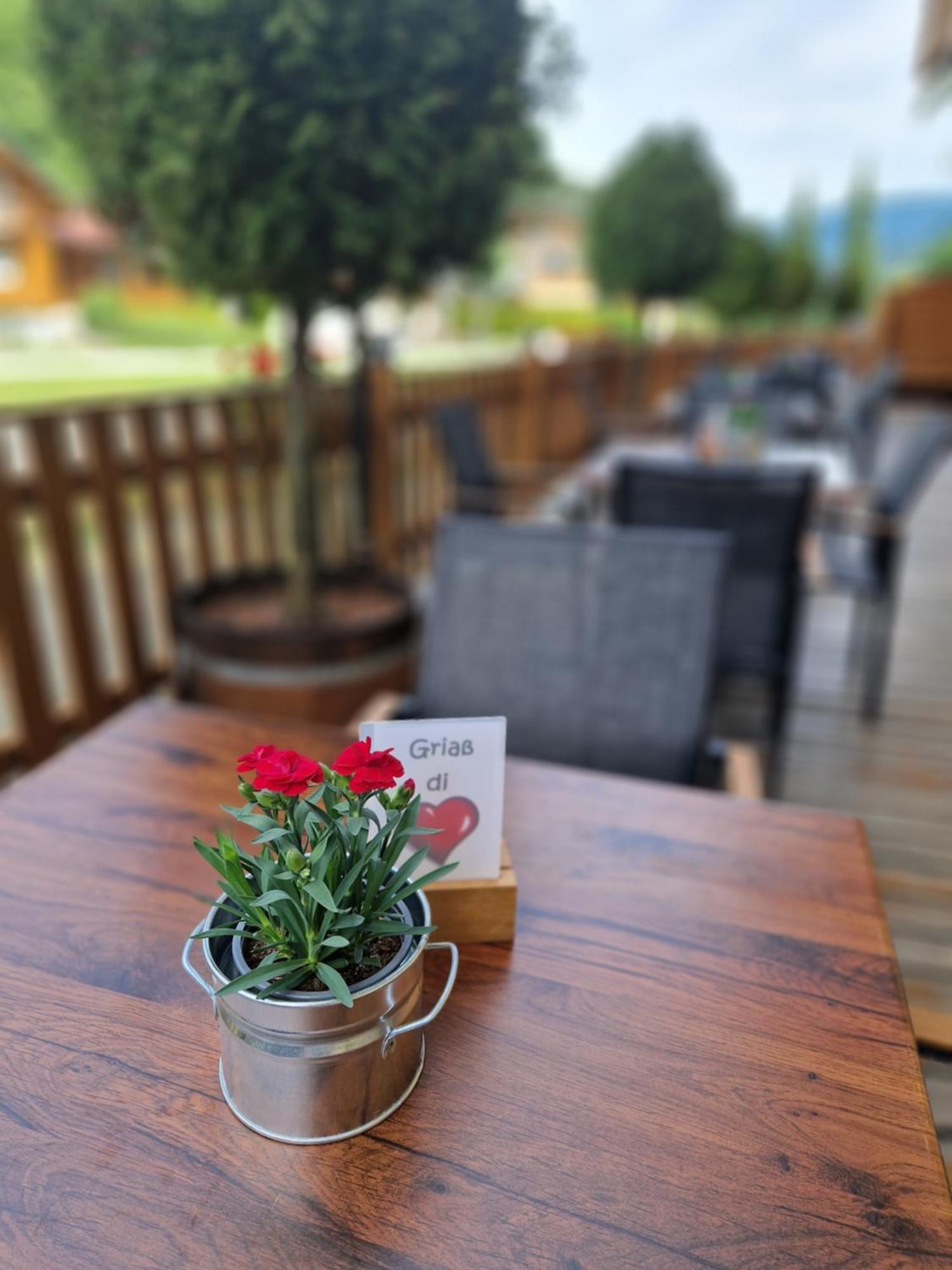 Sporthotel Dachstein West Annaberg-Lungötz Extérieur photo